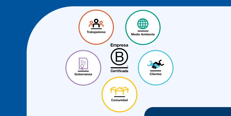 Áreas de impacto de una Empresa B: trabajadores, medio ambiente, gobernanza, clientes y comunidad.
