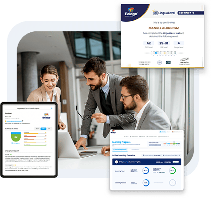 Bridge's proprietary workplace language audit and proficiency diagnostic 
