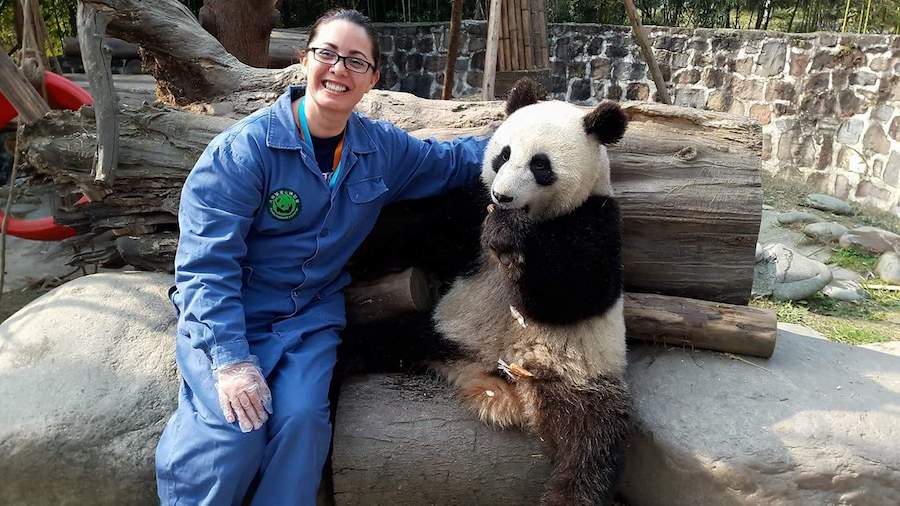 English teacher in China with panda