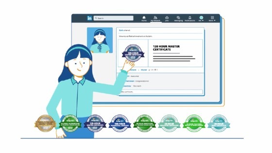 How the electronic toll badge works for professionals