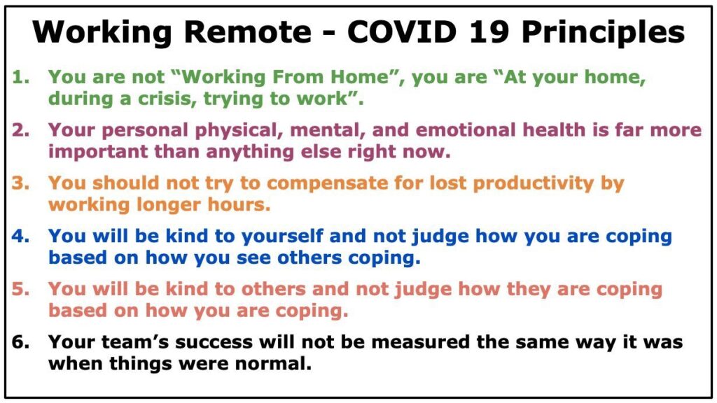 Principles for Working Remotely During Covid