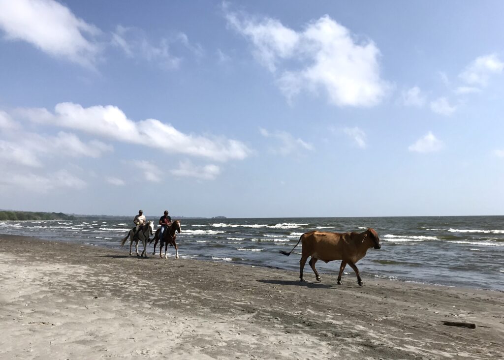 one of the laid-back beaches on Ometepe Island