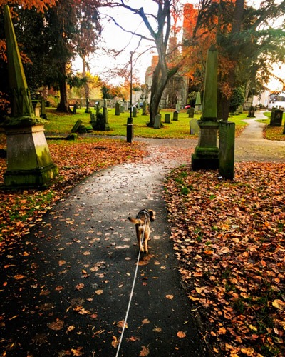Mari, online English teacher, walking her puppy between classes
