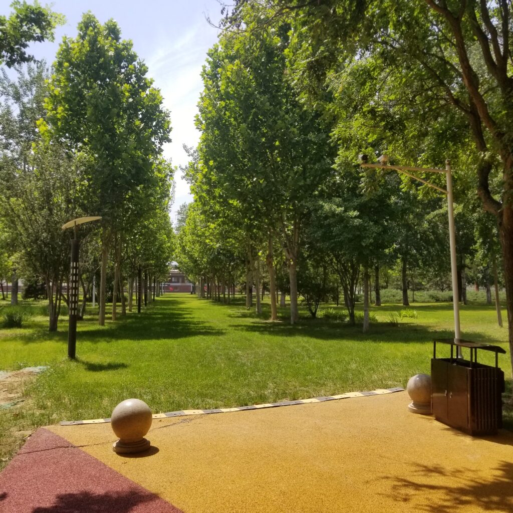 An empty park in Beijing during the COVID-19 crisis