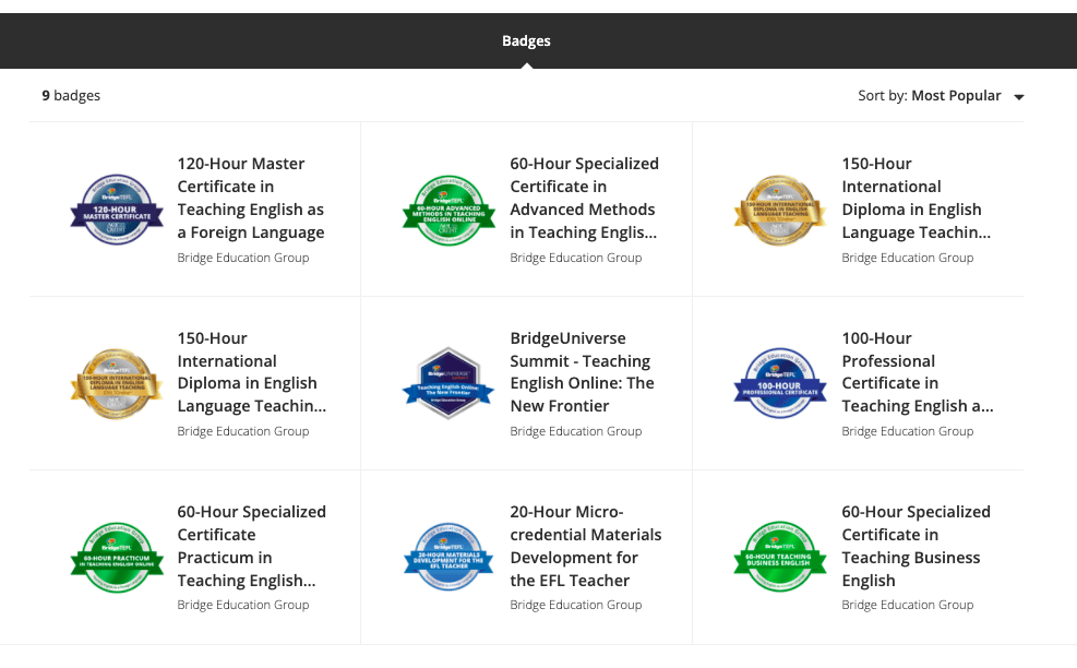 What Achievements Can My Digital Badges Showcase to Employers? -  BridgeUniverse - TEFL Blog, News, Tips & Resources