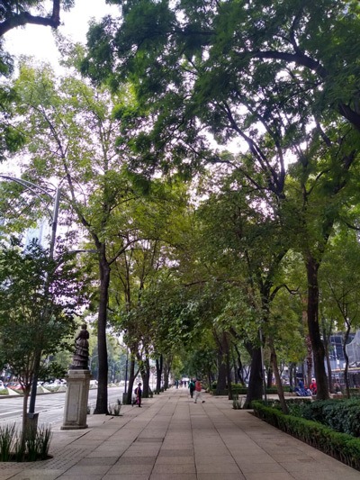 A park in Mexico City