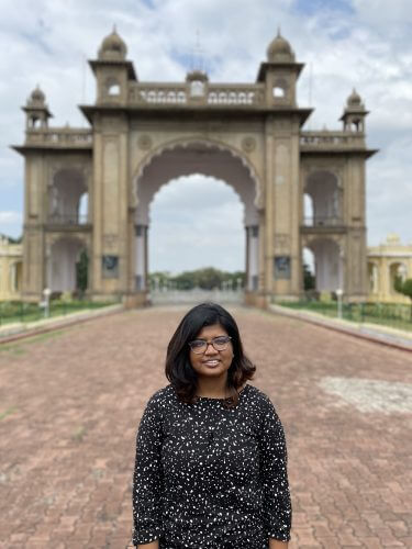 The interviewee stands in front of the entrance to Mysore Palace in India.