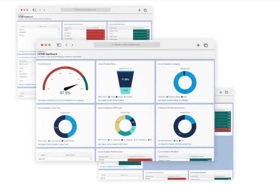 screenshot of Bridge Languages' Language Performance Indicators dashboard for students, teachers, and HR professionals.