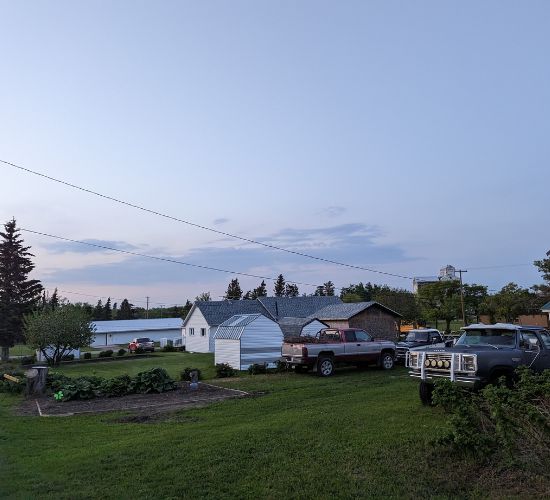 homes on a green lawn with pine trees surrounding them.