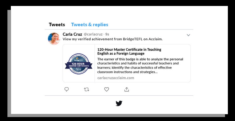 What Achievements Can My Digital Badges Showcase to Employers? -  BridgeUniverse - TEFL Blog, News, Tips & Resources
