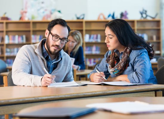 a language teacher with an adult student