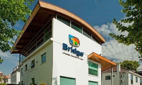 Bridge Center