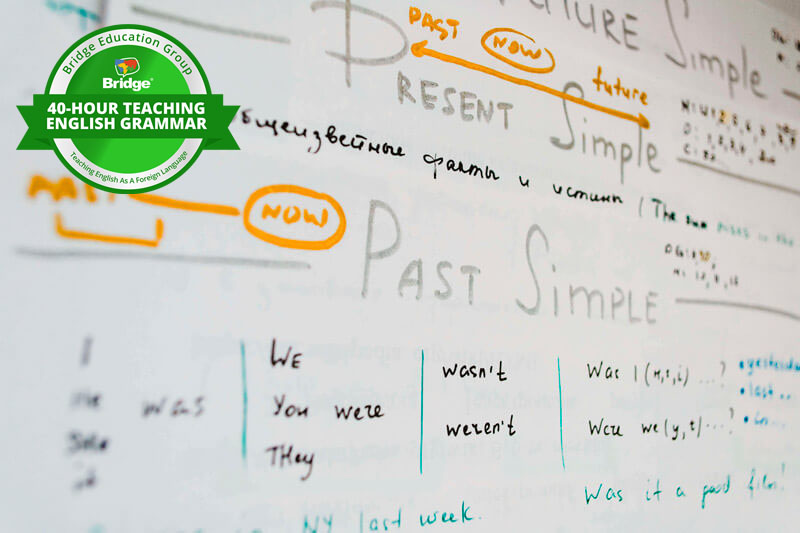 Whiteboard with English grammar lessons and Bridge 40-hour Teaching English Grammar certification badge