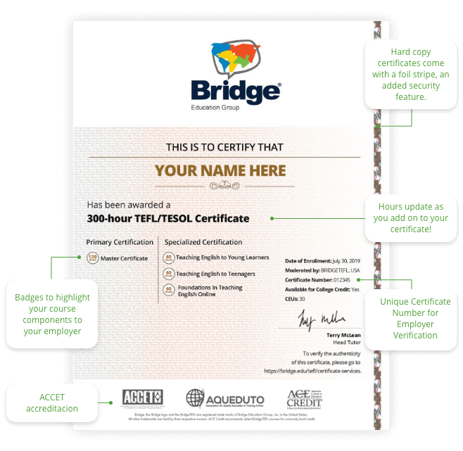 About The Bridge Certificate Bridge TEFL
