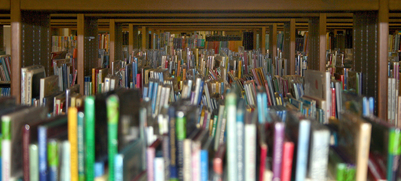 Advice From Your Advisors Make the Most of Studying in the US